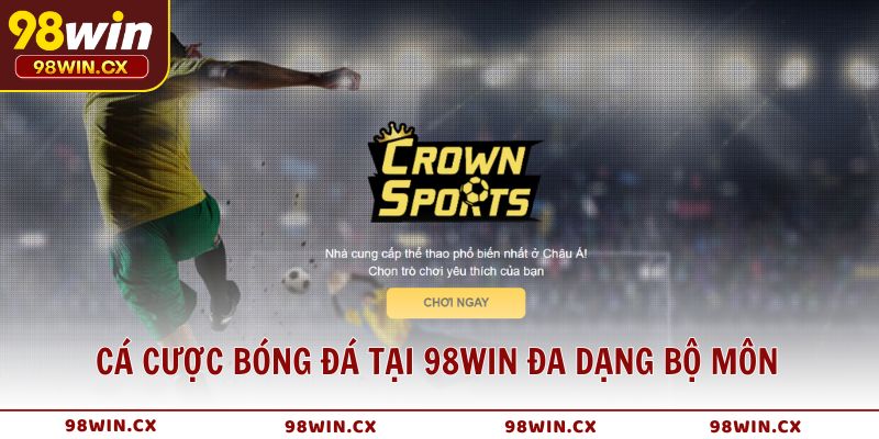 Cá cược bóng đá tại 98WIN đa dạng bộ môn