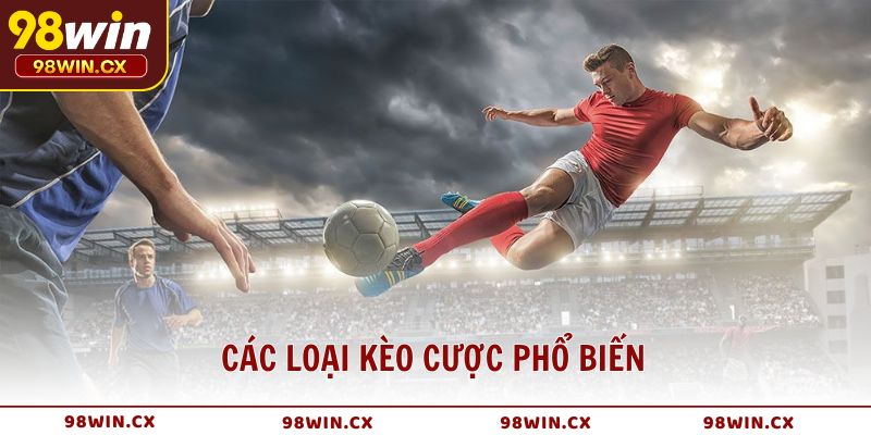 Các loại kèo cược phổ biến trong cá cược thể thao ảo