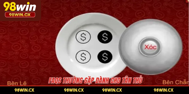 FAQs thường gặp dành cho tân thủ 